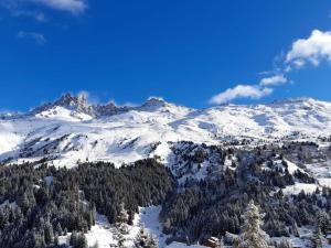 a snow covered mountain with trees in the foreground at Méribel Mottaret - Appartement 3 chambres, 6 pers, parking, terrasse, skis aux pieds - FR-1-613-105 in Les Allues
