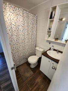 a bathroom with a toilet and a sink at Departamento grande cercano a la playa La Serena in La Serena