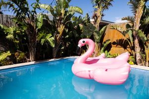 a pink flamingo float in a swimming pool at Resort Style home close to the Beach with Pool, Sauna and Pizza Oven in Sydney