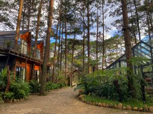 una casa en el bosque con árboles y plantas en T'MĂNG ĐEENG HOMESTAY, en Kon Von Kla