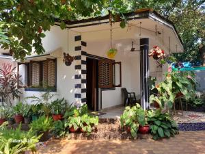 uma casa com um monte de plantas à frente dela em Atharva Holiday Homes em Anjuna