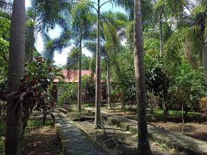 a garden with palm trees and a house at Tangkoko Jungle Homestay in Rinondoran