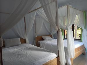 two beds with white drapes in a bedroom at Tangkoko Jungle Homestay in Rinondoran