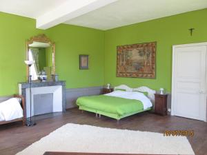 a green bedroom with a bed and a fireplace at Château de Souesmes in Souesmes +39 photos