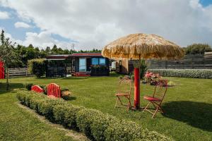 a group of chairs and an umbrella in a yard at Onaero s Quaint Little Cottages in Waitara