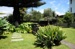 Vườn quanh The Buller Bungalow - fall in love with this home +17 ảnh