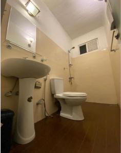 a bathroom with a sink and a toilet at Sadula Holiday Resort in Anuradhapura