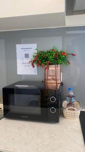 a plant sitting on top of a microwave at 1 Bedroom - 1Bath Unit, with Balcony, River View in Phnom Penh