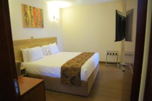 a hotel room with a bed and a television at Black Horse Hotel in Addis Ababa