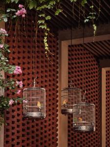 three cages of birds hanging from a wall at Capella Shanghai, Jian Ye Li in Shanghai