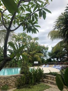 a view of the pool at the resort at Wae Molas Hotel in Labuan Bajo