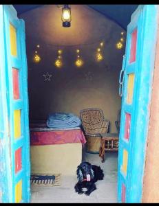 a dog laying in a room with a bed at Backpackers Village Agra in Agra