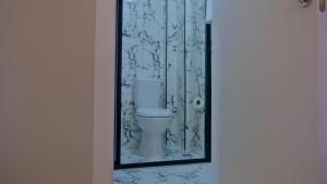 ein Bad mit einem WC und einer Glastür in der Unterkunft ZerCity Otel in Konya