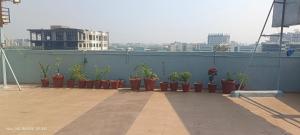 uma fila de vasos de plantas num telhado em Hotel Midnight em Ahmedabad