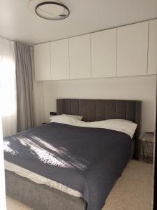 a bedroom with a large bed with white cabinets at New and comfortable apartments in Uzhhorod
