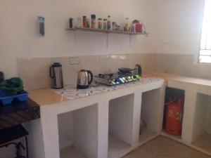 a kitchen with a counter top with a stove at saba saba home stay in Nungwi