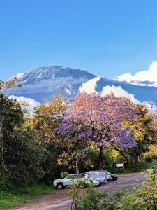The 10 best self catering accommodations in Moshi Tanzania  
