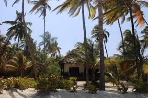 une maison sur la plage avec des palmiers dans l'établissement Ocean Dream Villa, à Ushongo Mabaoni