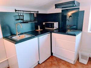 Il comprend une petite cuisine équipée d'un évier et d'un four micro-ondes. dans l'établissement Au cœur du Félibrige, à Châteauneuf-de-Gadagne
