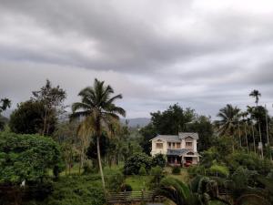 una casa en una colina con una palmera en i-Jas Rock N View, en Meenangadi