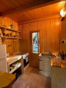 cocina con paredes de madera y horno con fogones en Nest in the Nature, en Brebu Megieşesc