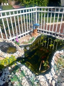 Fotografie z fotogalerie ubytování Suites in the Galilee v destinaci Kirjat Šmona