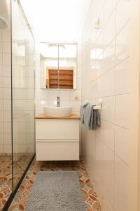 ein Bad mit einem Waschbecken und einer Dusche in der Unterkunft De Torteltuin in Nispen
