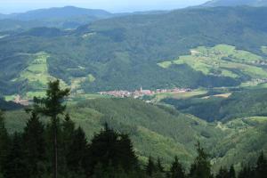 vistas a un valle de colinas verdes con árboles en Ferienwohnungen Golla-lang, en Oberharmersbach