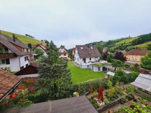 una vista aérea de un pueblo con casas en Ferienwohnungen Golla-lang, en Oberharmersbach