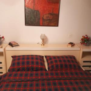 een slaapkamer met een bed met een geruite deken bij Happy 80's in Belgrado