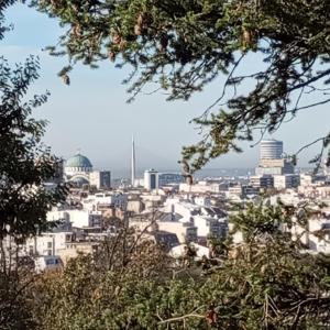 vistas a la ciudad de París desde un árbol en Happy 80's en Belgrado