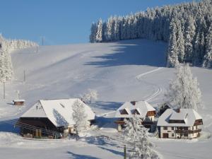 einen schneebedeckten Berg mit Häusern und Bäumen in der Unterkunft Oberengenbachhof in Eisenbach