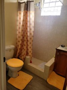 a bathroom with a shower with a toilet and a sink at Kensington Oval- 2 bed 1 Bath in Bridgetown