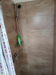 een douche met een douchekop in de badkamer bij Chalupa u dědy in Dlažkovice