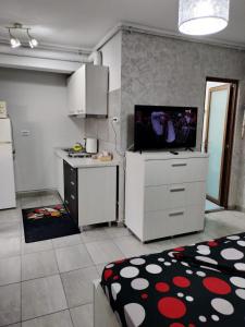 a room with a kitchen with a tv on a counter at Studio 10 in Mamaia Sat/Năvodari