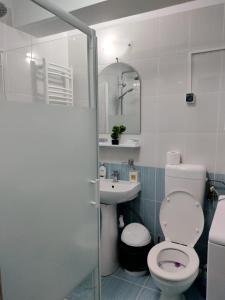 a bathroom with a toilet and a sink at Studio 10 in Mamaia Sat/Năvodari