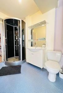 uma casa de banho com um WC, um lavatório e um chuveiro em La belle vue Laonnoise em Laon