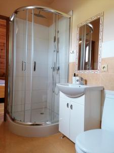 uma casa de banho com um chuveiro e um lavatório. em Noclegi Gaja em Święta Katarzyna