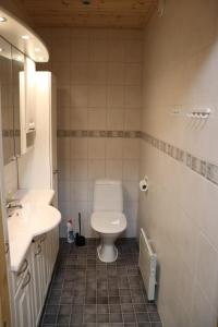 La salle de bains est pourvue de toilettes et d'un lavabo. dans l'établissement Ylläs slope SareStar, à Ylläsjärvi