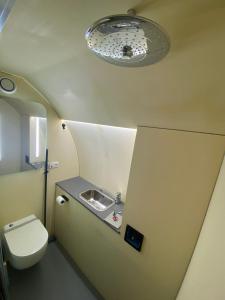 een kleine badkamer met een toilet en een wastafel bij Ontspan in de Droomstam in Dalfsen