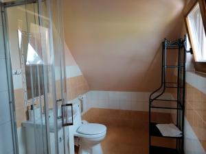 uma casa de banho com um WC e uma cabina de duche em vidro. em Noclegi Gaja em Święta Katarzyna
