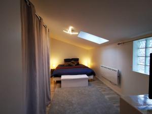 ein Schlafzimmer mit einem Bett und einem Dachfenster in der Unterkunft Gîte de Palesne - Pierrefonds in Pierrefonds