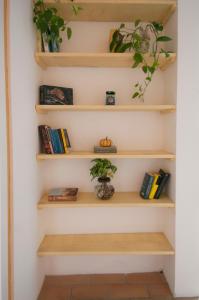 un montón de estanterías con libros y una planta en Urban Retreat - AmbrogioHost, en Bolonia