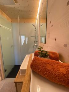 La salle de bains est pourvue d'un lavabo et d'un miroir. dans l'établissement Unique Tiny Eco Lodges with gorgeous views to Jungfrau Massiv, à Interlaken