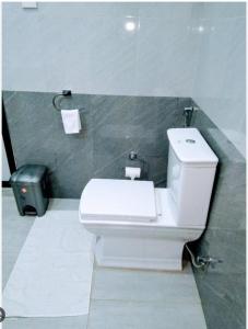 a bathroom with a white toilet and a green wall at AMRON RESORT SIGIRIYA in Sigiriya