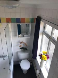 a bathroom with a toilet and a sink and a window at Bright & spacious first floor apartment Cambridge in Chesterton