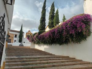 a set of stairs with purple flowers on a building at Casa San Mateo in Córdoba