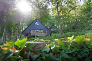 uma pequena cabana no meio de uma floresta em Domaine Long Pre em Stavelot