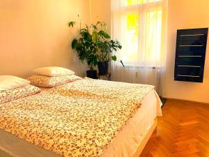 Fotografia z galérie ubytovania Free Parking - Premium Bed - Modern Kitchen v destinácii Sankt Veit am Vogau