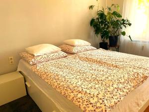 Fotografia z galérie ubytovania Free Parking - Premium Bed - Modern Kitchen v destinácii Sankt Veit am Vogau